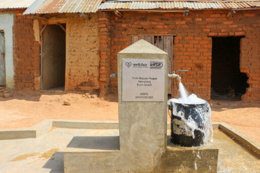 Trinkwasserbrunnen 2412TZ25.022 in Tansania